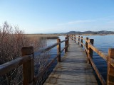 DSCN2855 (2)